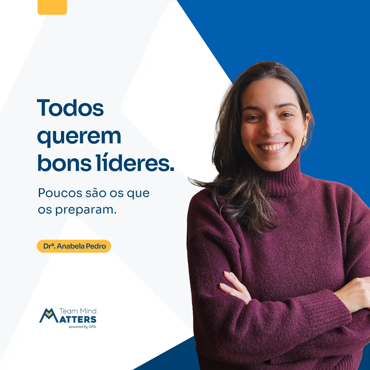 Todos querem bons líderes.